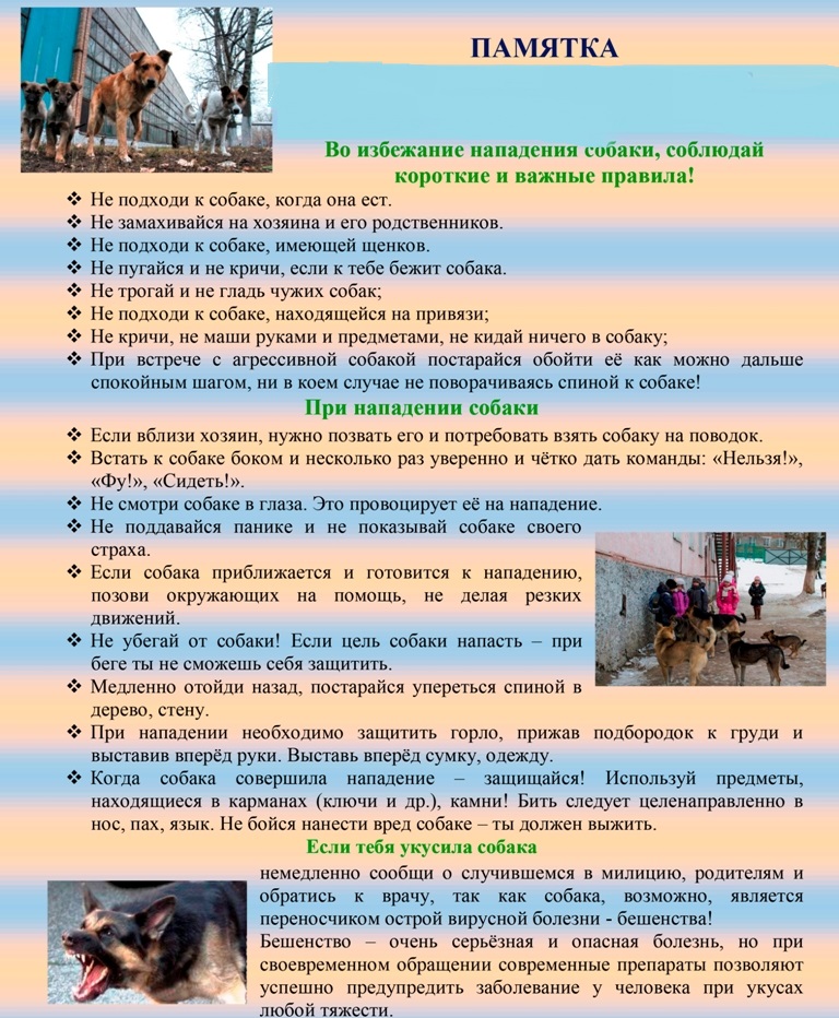 Меры по недопущению покусов.jpg